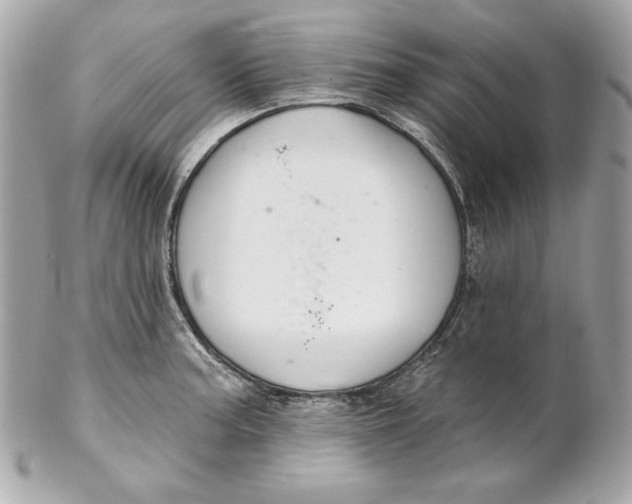 X0000102281187200808151920