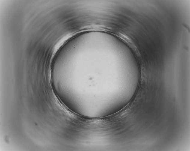 X0000102281188200808151920