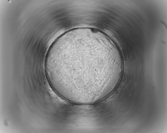 X0000102281189200808151920