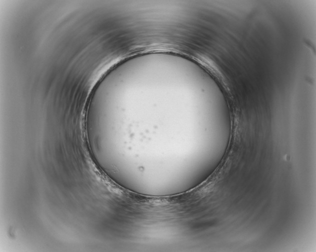 X0000102281190200808151920