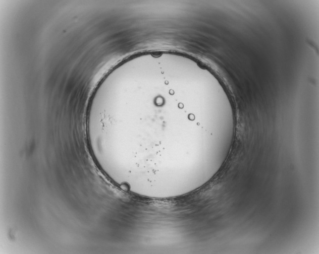 X0000102281191200808151920