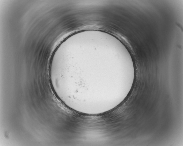 X0000102281192200808151920