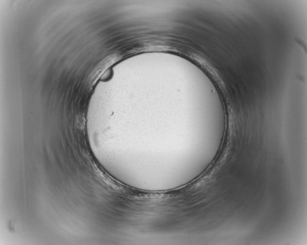 X0000102281193200808151920