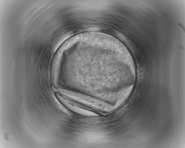 X0000102281194200808151920