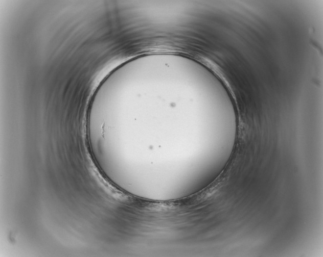 X0000102281195200808151920