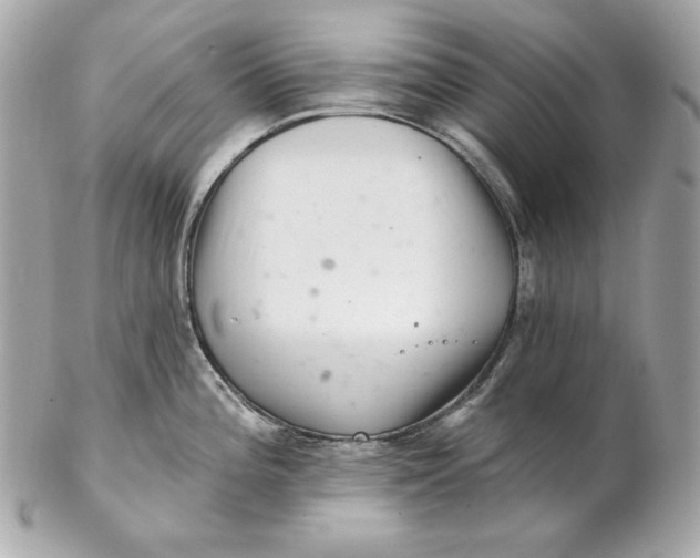 X0000102281196200808151920