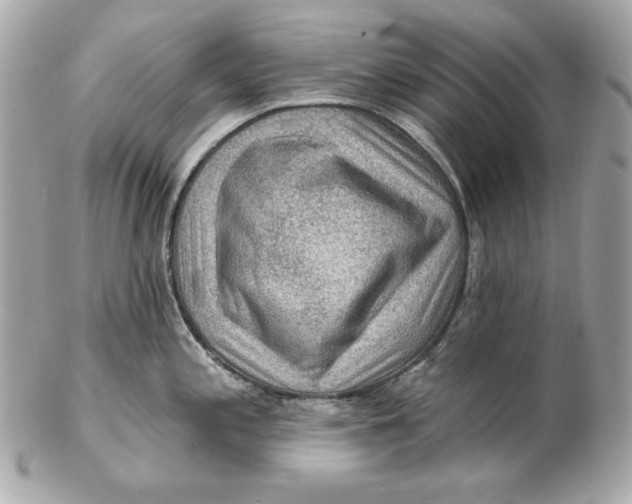 X0000102281197200808151920