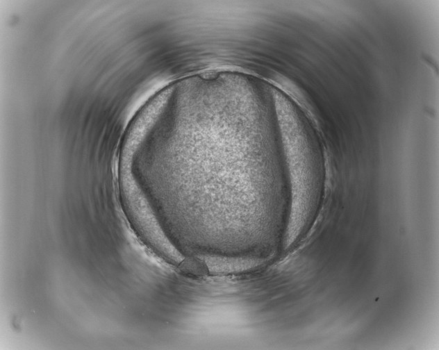 X0000102281198200808151920