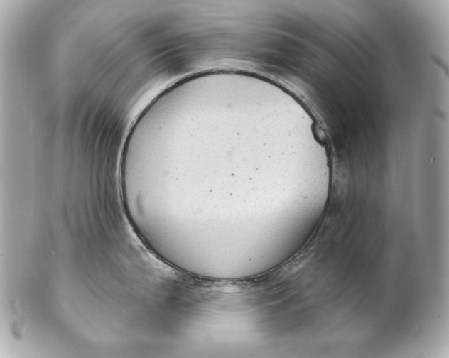 X0000102281199200808151920