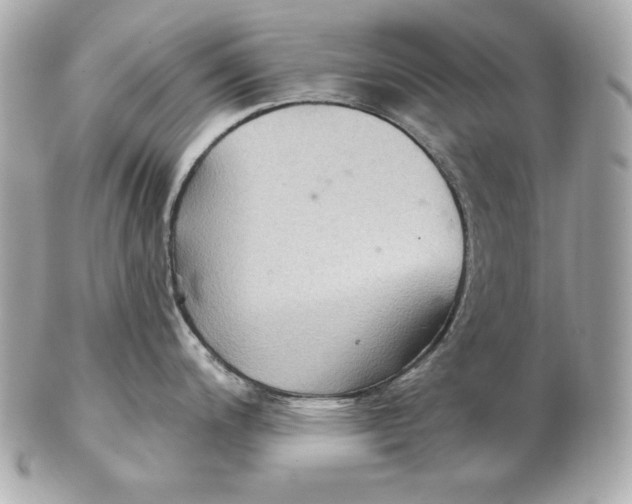 X0000102281200200808151920