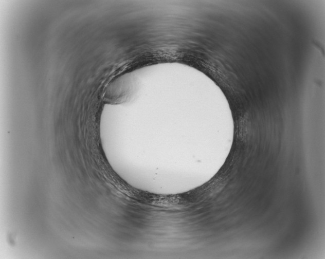 X0000102281201200808151919