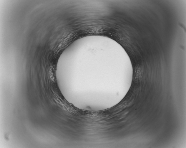 X0000102281202200808151919