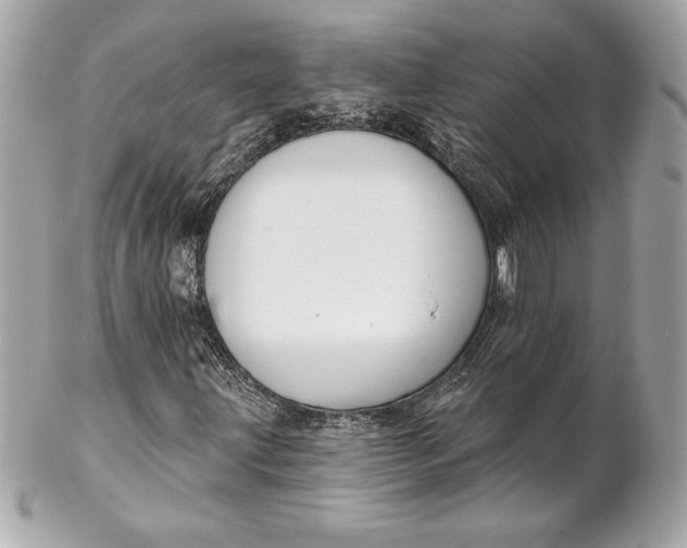 X0000102281203200808151919