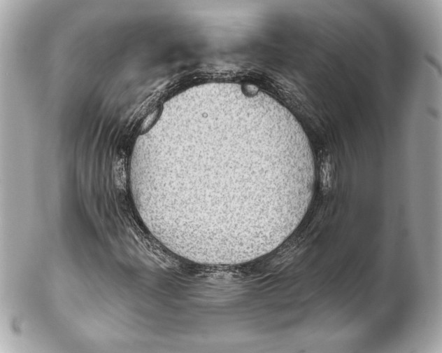 X0000102281204200808151919