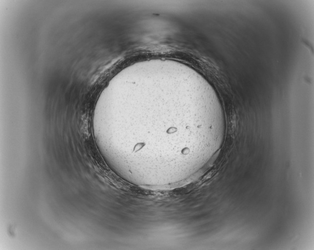 X0000102281205200808151919