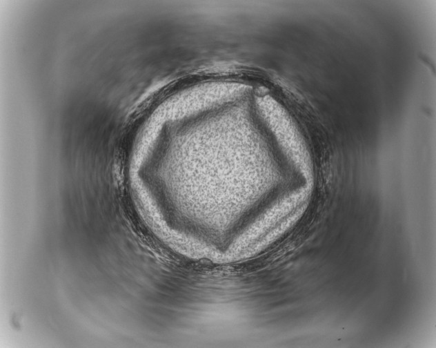 X0000102281206200808151919