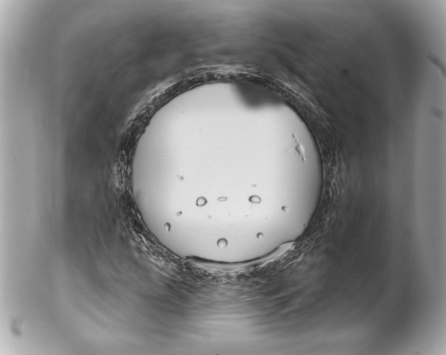 X0000102281207200808151919