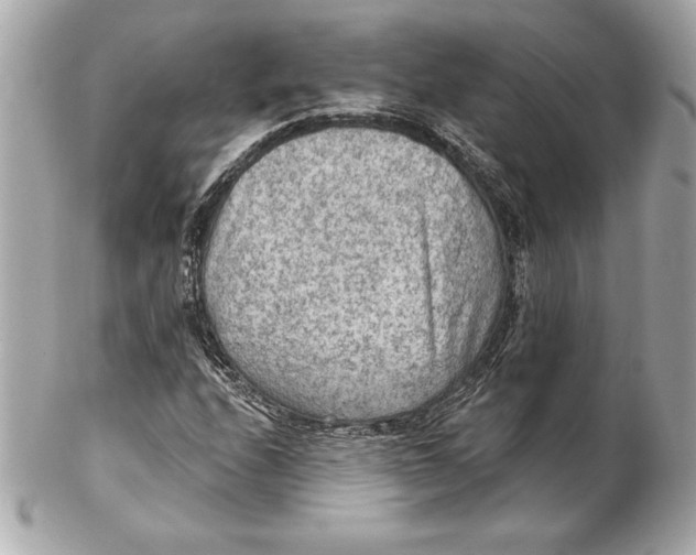 X0000102281208200808151919