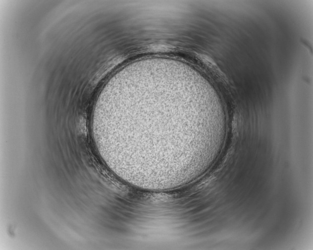 X0000102281209200808151919