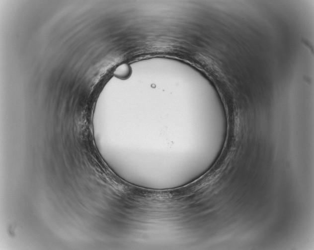 X0000102281210200808151919