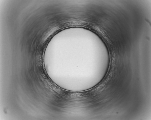 X0000102281211200808151919