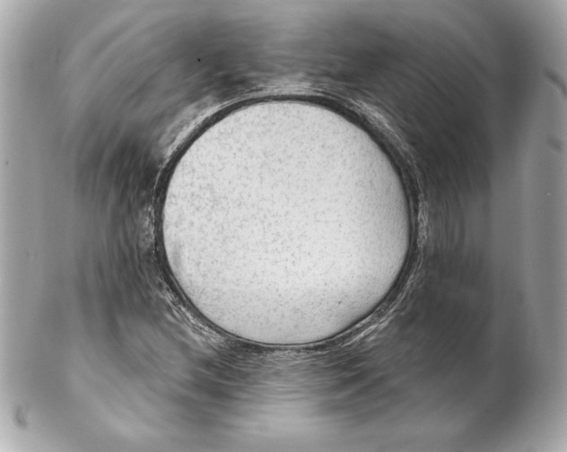 X0000102281212200808151919