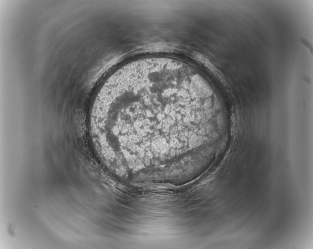 X0000102281213200808151919