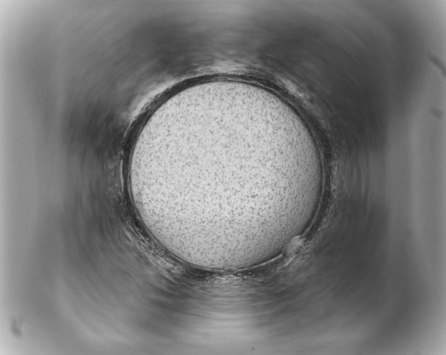 X0000102281214200808151919