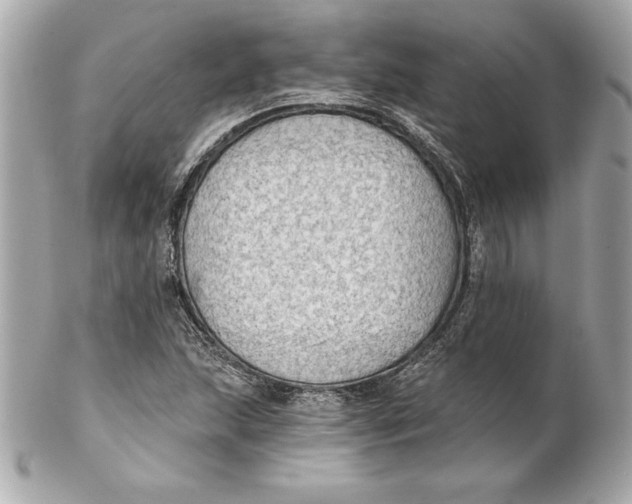 X0000102281215200808151919