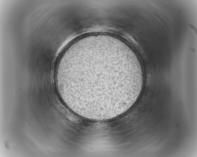 X0000102281216200808151919