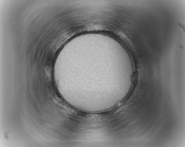 X0000102281217200808151919