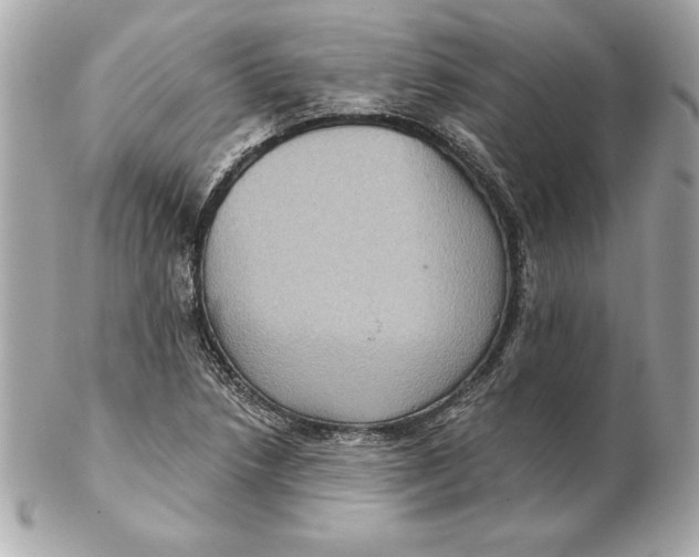 X0000102281218200808151919