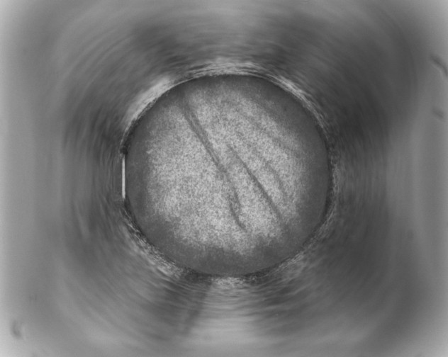 X0000102281219200808151919