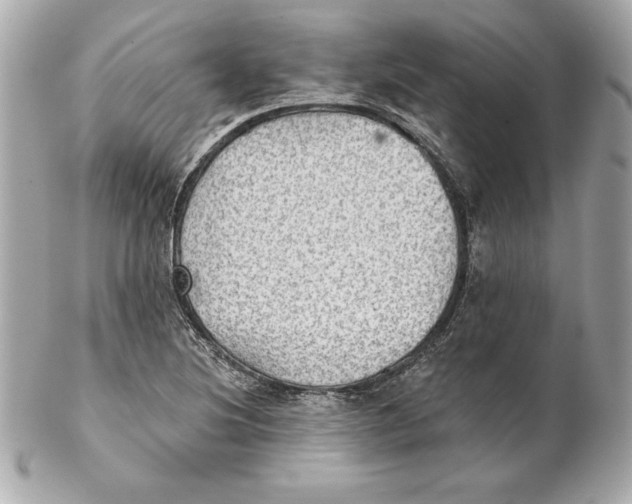 X0000102281220200808151919