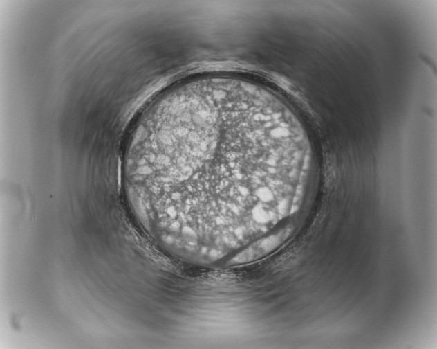 X0000102281221200808151919