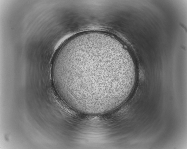 X0000102281222200808151919