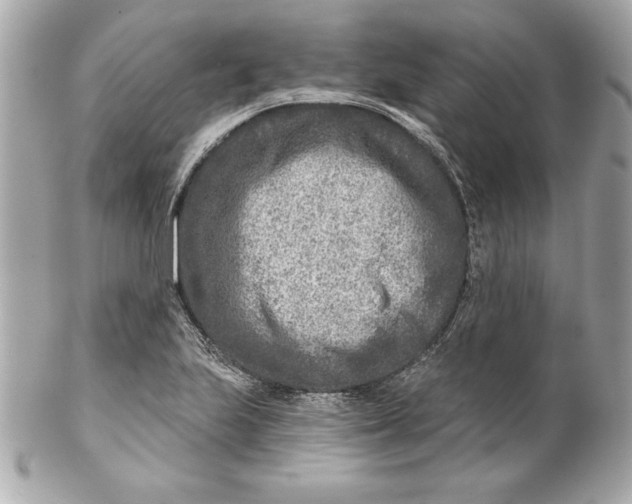 X0000102281223200808151919