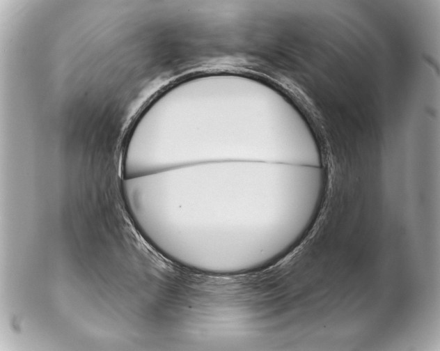 X0000102281224200808151919