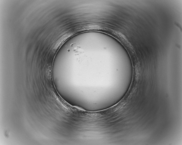 X0000102281225200808151919