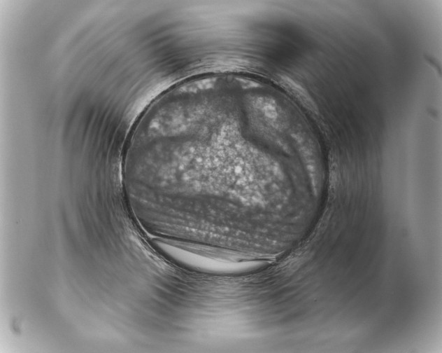 X0000102281226200808151919