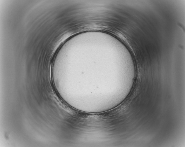 X0000102281227200808151919