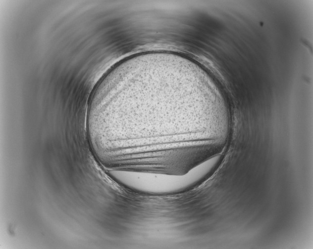 X0000102281228200808151919