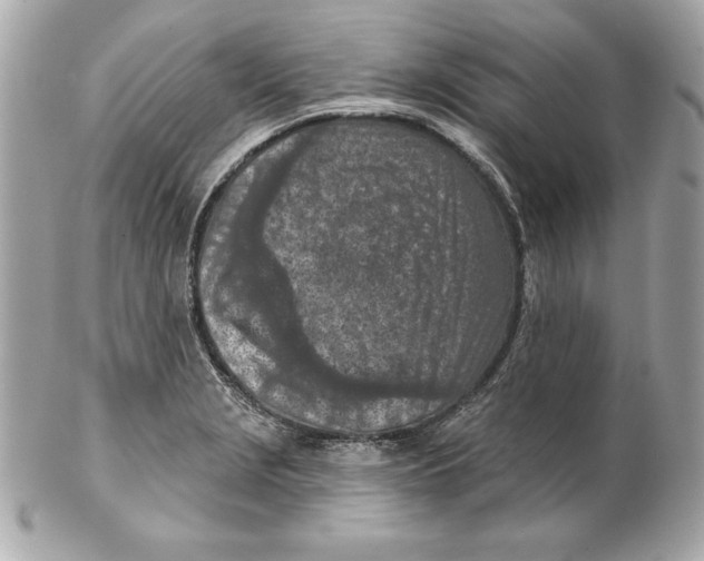 X0000102281229200808151920