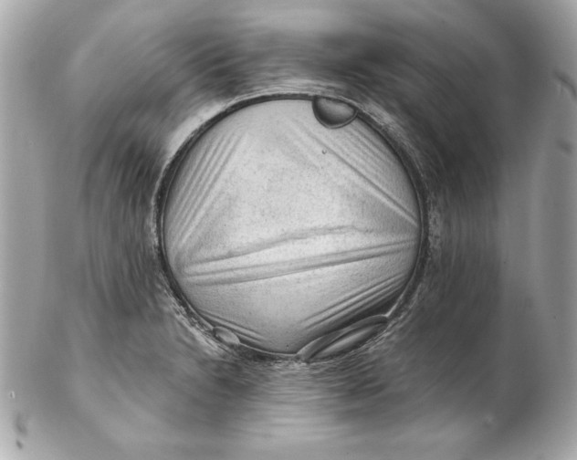 X0000102281230200808151920