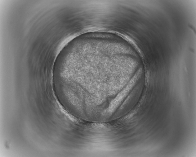 X0000102281231200808151920