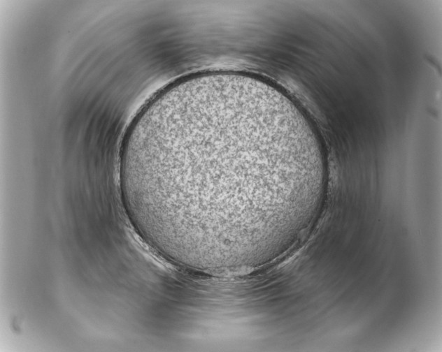 X0000102281232200808151920