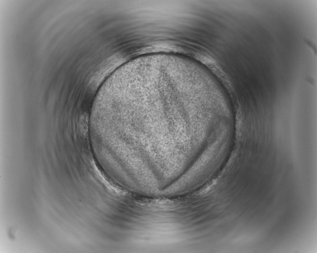 X0000102281233200808151920