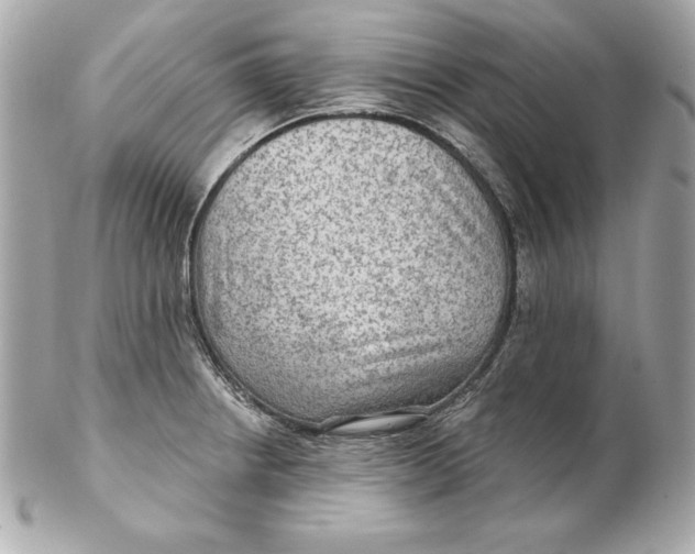 X0000102281234200808151920