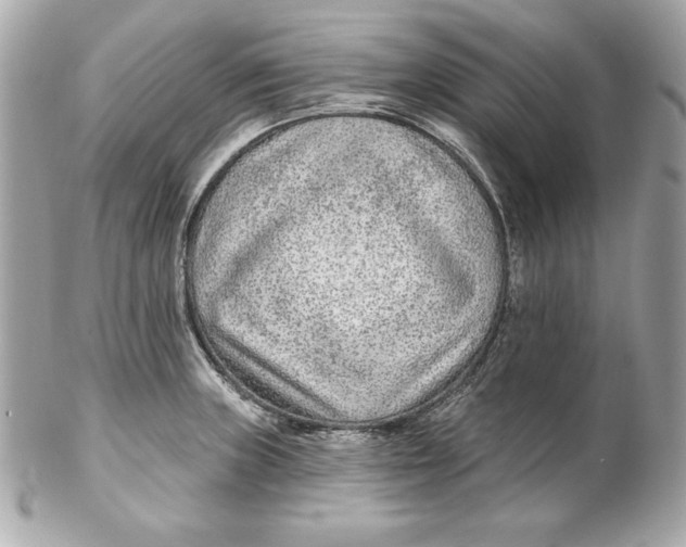 X0000102281235200808151920