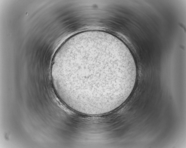 X0000102281236200808151920